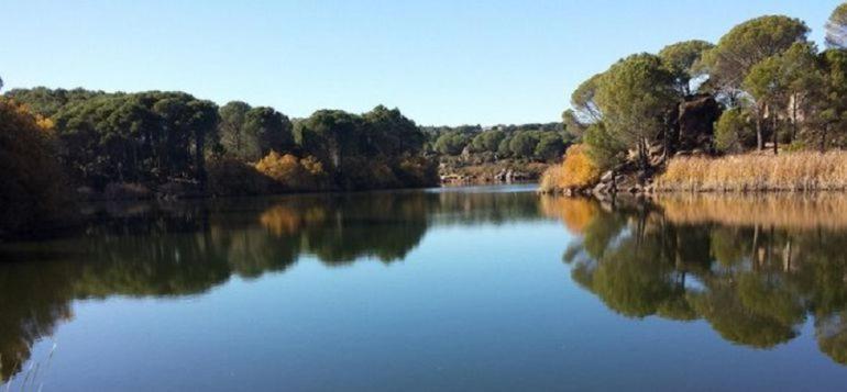 Villa Aljaral, Espectacular,Piscina,Chimenea, Climatizacion, Wifi 科爾多瓦 外观 照片