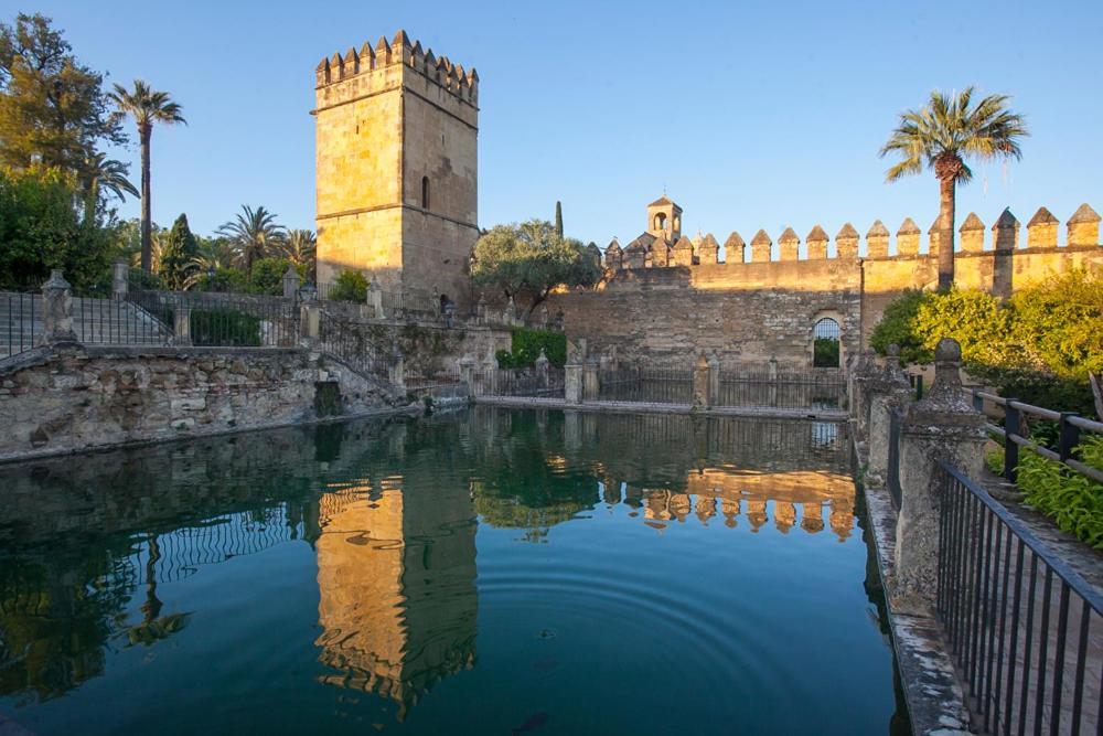 Villa Aljaral, Espectacular,Piscina,Chimenea, Climatizacion, Wifi 科爾多瓦 外观 照片
