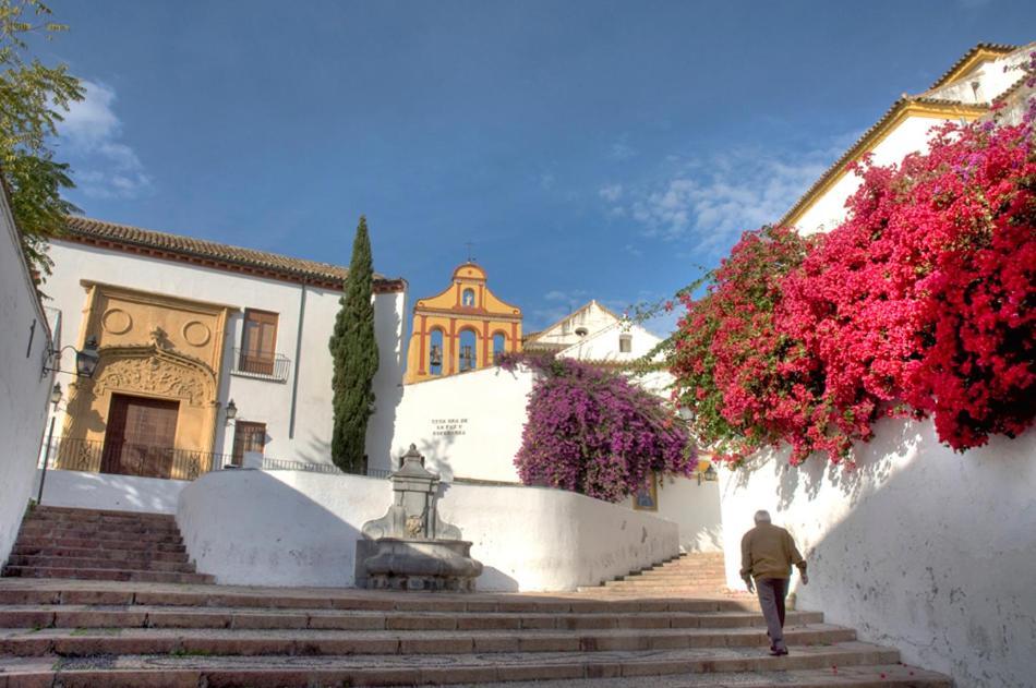 Villa Aljaral, Espectacular,Piscina,Chimenea, Climatizacion, Wifi 科爾多瓦 外观 照片